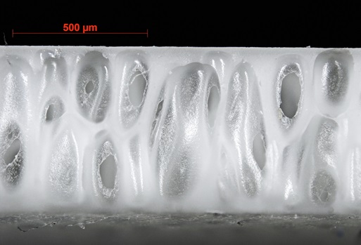 Microscopy of Foam