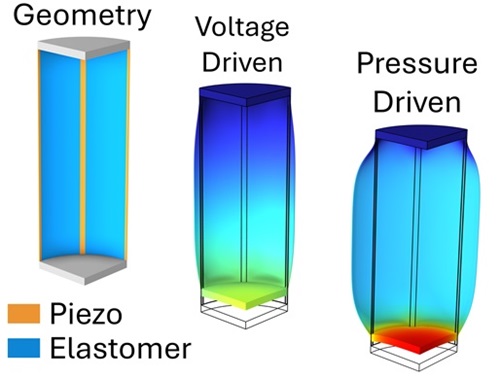 Piezoelectrically enhanced soft artificial muscles can be actuated using voltage, fluid pressure or a combination of the two.