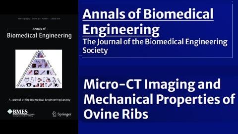 Annals of Biomedical Engineering logo and article title: Micro-CT Imaging and Mechanical Properties of Ovine Ribs
